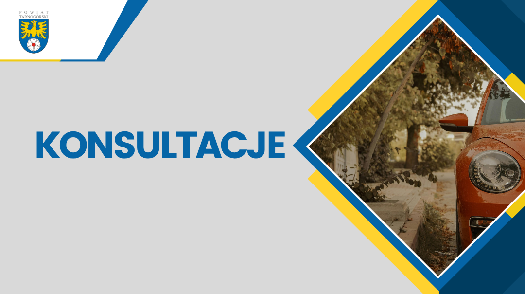 Konsultacje